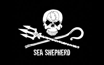 Centre sympathisant Sea Shepherd