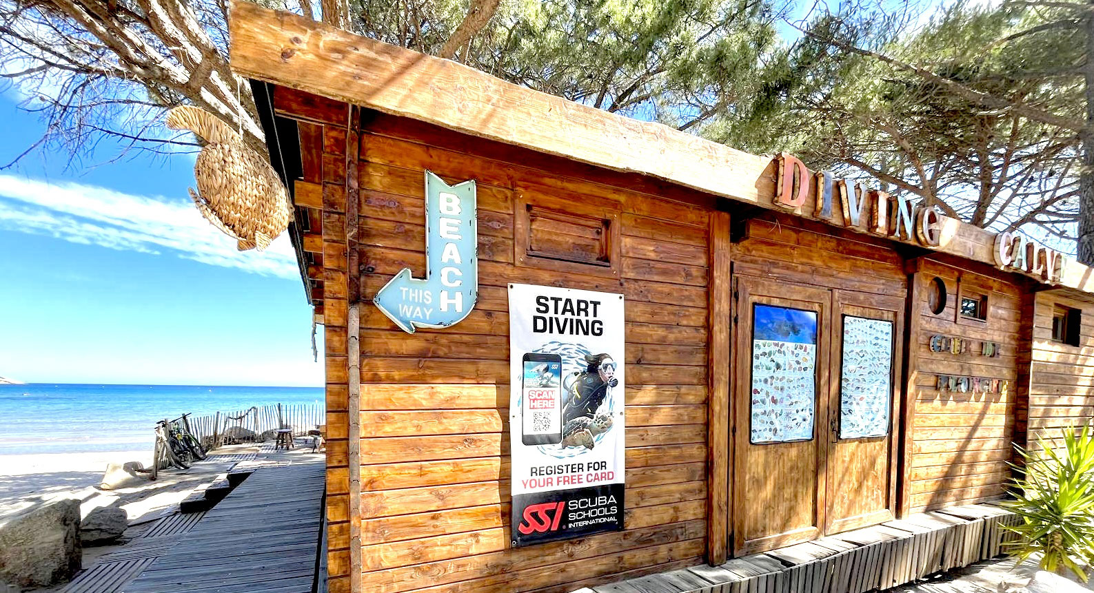 club_plongee_corse_diving_calvi